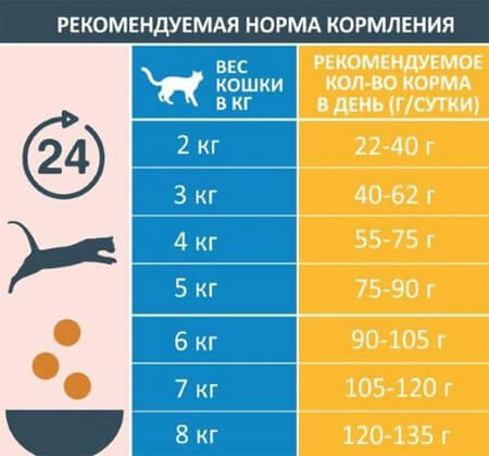 Recommended Feeding Rates for Cats