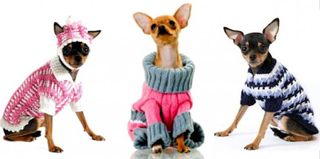 Comfortable knitted clothes for dogs