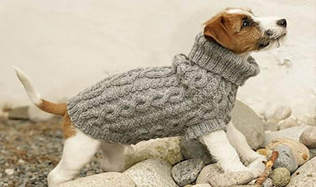 Suéter de punto para perros