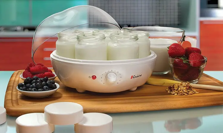¿Cómo elegir la yogurtera adecuada para tu hogar? Lo que es importante saber.